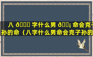 八 🐕 字什么男 🐡 命会克子孙的命（八字什么男命会克子孙的命格）